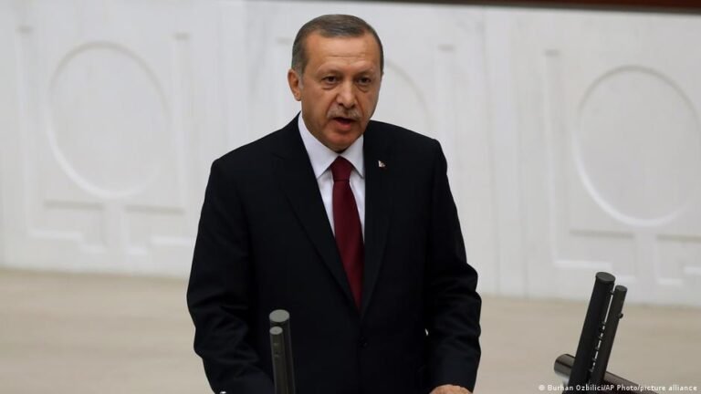 Un asesor de Erdogan adelantó que el mandatario buscará un nuevo período presidencial