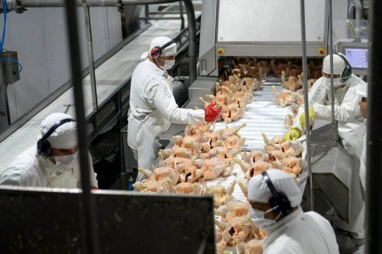 Avícola en problemas: la principal empresa de Granja Tres Arroyos solicitó el concurso preventivo