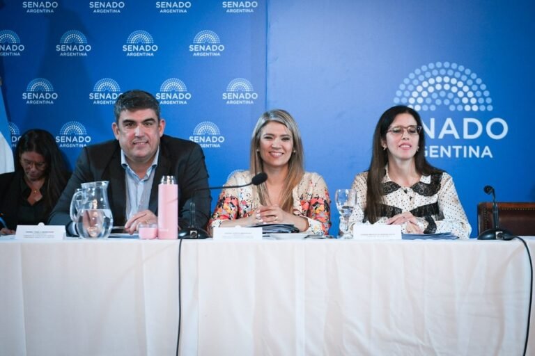 El Senado discute cambios a la Ley de Salud Mental con foco en internaciones y adicciones