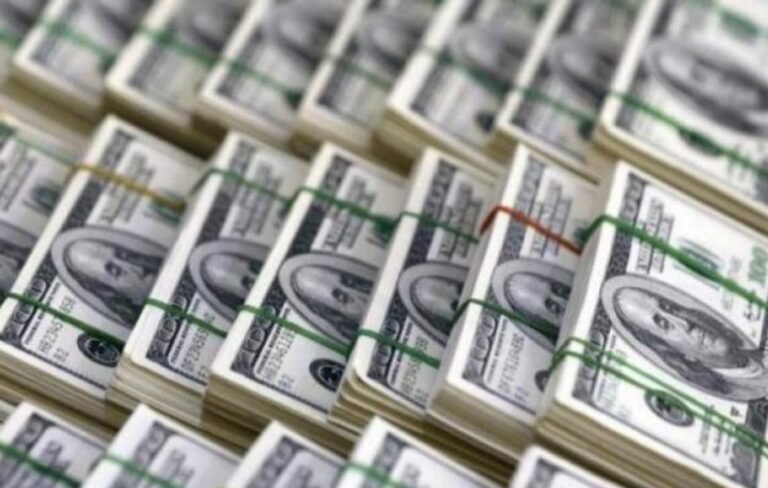 El dólar blue registró una marca máxima y el tipo de cambio mayorista cerró al alza