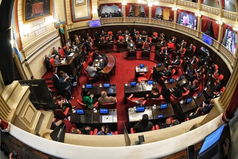 Proponen una comisión bicameral para supervisar la seguridad en la provincia de Buenos Aires