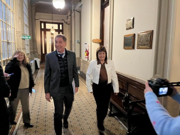 Santilli restó importancia a las tensiones con Patricia Bullrich y calificó su video como divertido