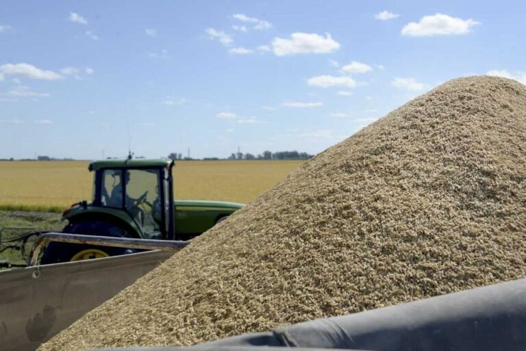 Un informe privado advierte que apostar a los commodities expone al país a la volatilidad internacional
