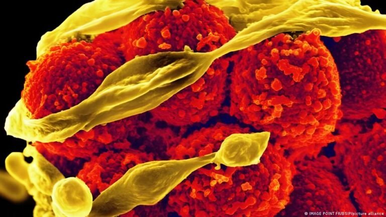 Aplicación de inteligencia artificial para el desarrollo de nuevos antibióticos ante la resistencia bacteriana