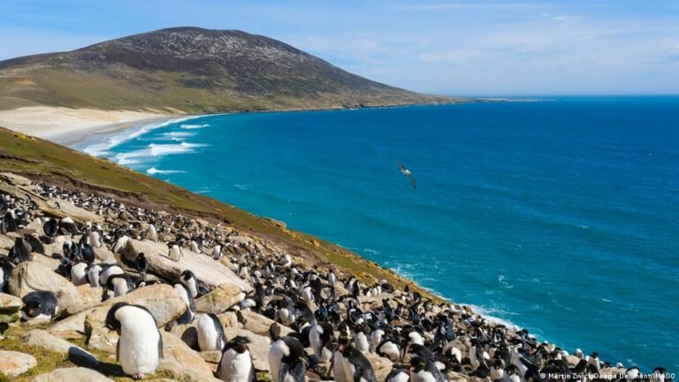 Un yacimiento petrolero en las Malvinas genera nuevas tensiones entre Argentina y el Reino Unido