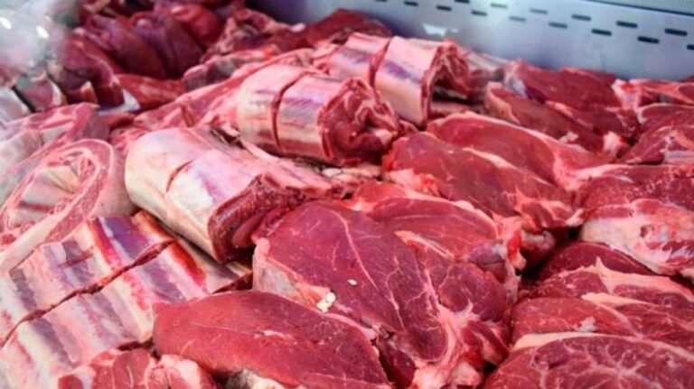 Carnicerías absorben subas de costos por la fuerte caída en la demanda