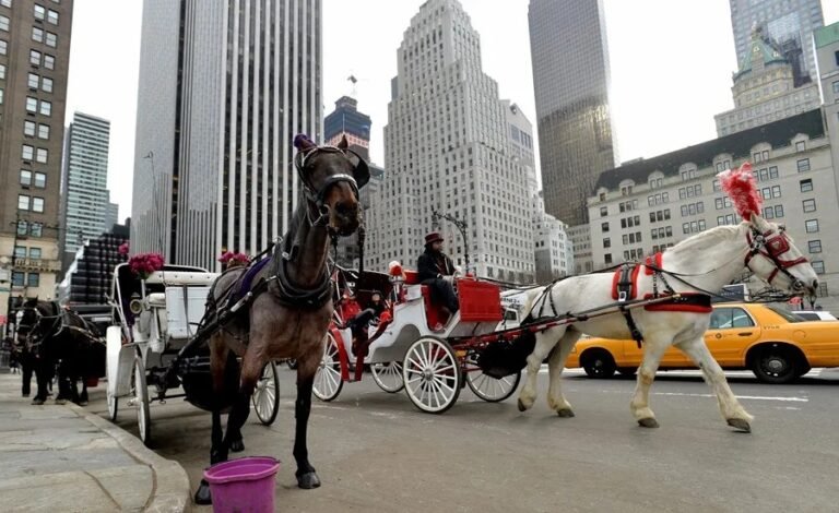 Nueva York proyecta eliminar los tradicionales paseos en carruajes con caballos para mediados de 2028