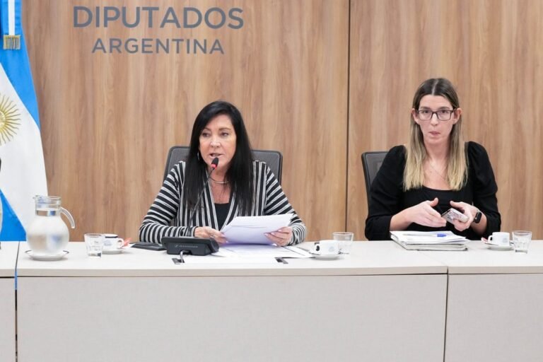 Comenzó en Diputados el análisis para unificar las iniciativas sobre imprescriptibilidad de delitos sexuales contra menores