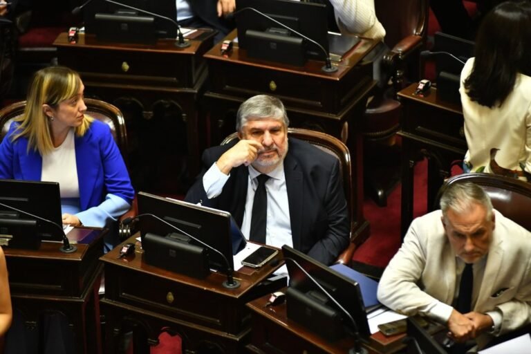 El oficialismo y el peronismo se preparan para disputar las bancas del Senado en el Consejo de la Magistratura