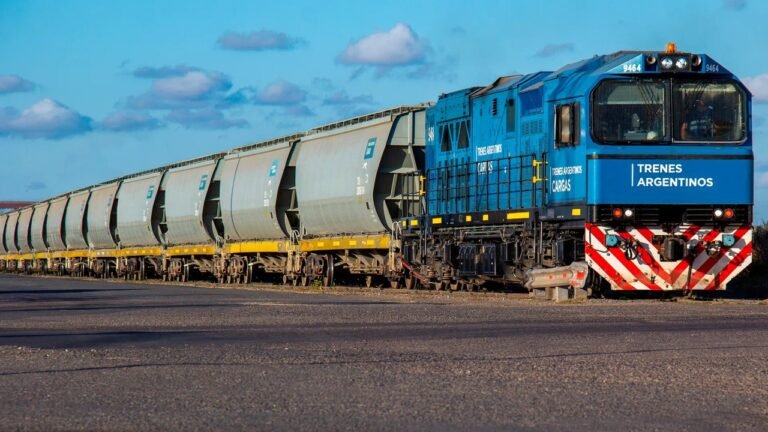 Grupo México cuestionó la privatización del Belgrano Cargas y explicó por qué se retiró de la licitación