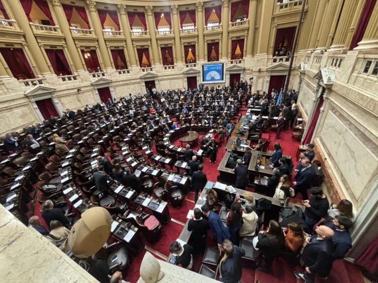 Reacciones cruzadas entre oficialistas y opositores tras la frustrada sesión en Diputados por el DNU 70/23