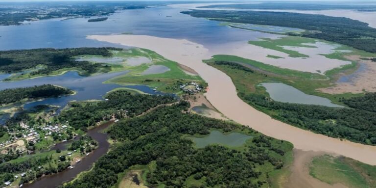 Un estudio científico advierte que la Amazonia brasileña emitió más carbono del que absorbió en los últimos catorce años